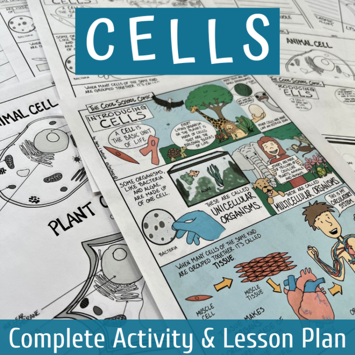 Cell Diagram and Lesson Plan Cover Image