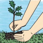 Plant-a-Tree