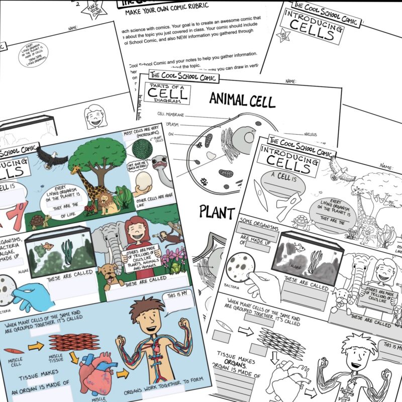 Introduction to Cells Lesson Image