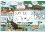 Earth Day Activity- Skip the Straws Great Lakes image