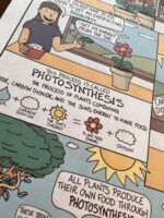 Photosynthesis-Doodle-Notes-Activity-Image 2