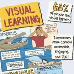 Image explaining why visual learning is so impactful. For example, 65% of humans are visual learners