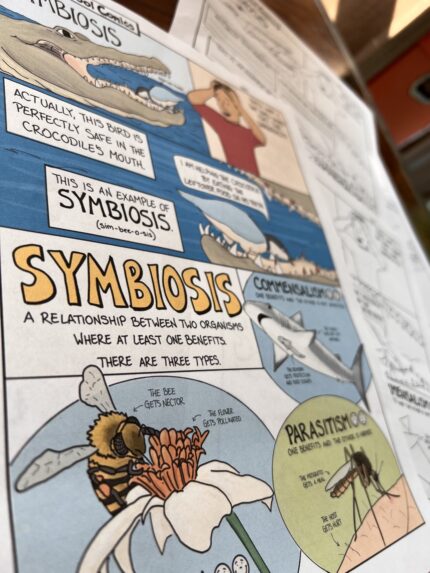 Symbiosis Doodle Notes Activity Image 1