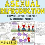 Asexual Reproduction Lesson Cover image for Kids