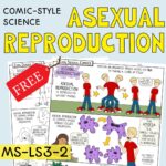 Cover image for the Free asexual reproduction teaching resource