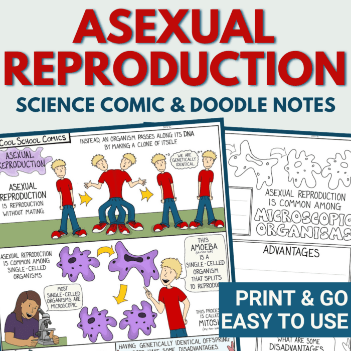 Asexual Reproduction Doodle Notes Activity - Cool School Comics