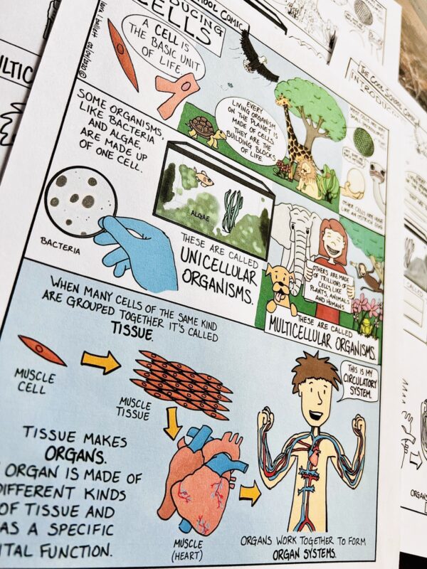 Introduction to Cells science comic geared towards middle school science (6th grade). This is the perfect intro before the cell project. 