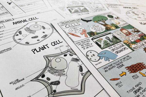 Science cartoon and diagram about plant and animal cells
