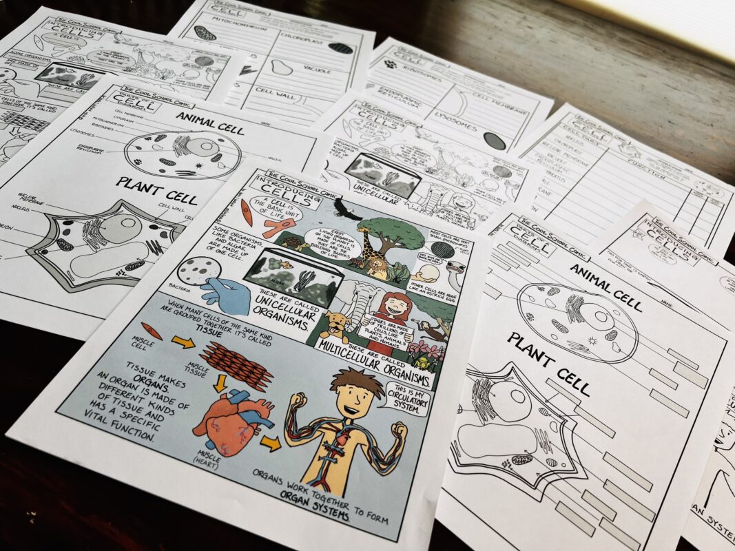 Image of the Complete Introduction to Cells Lesson Plan. This is the perfect lesson to build foundational understanding prior to the cell project.