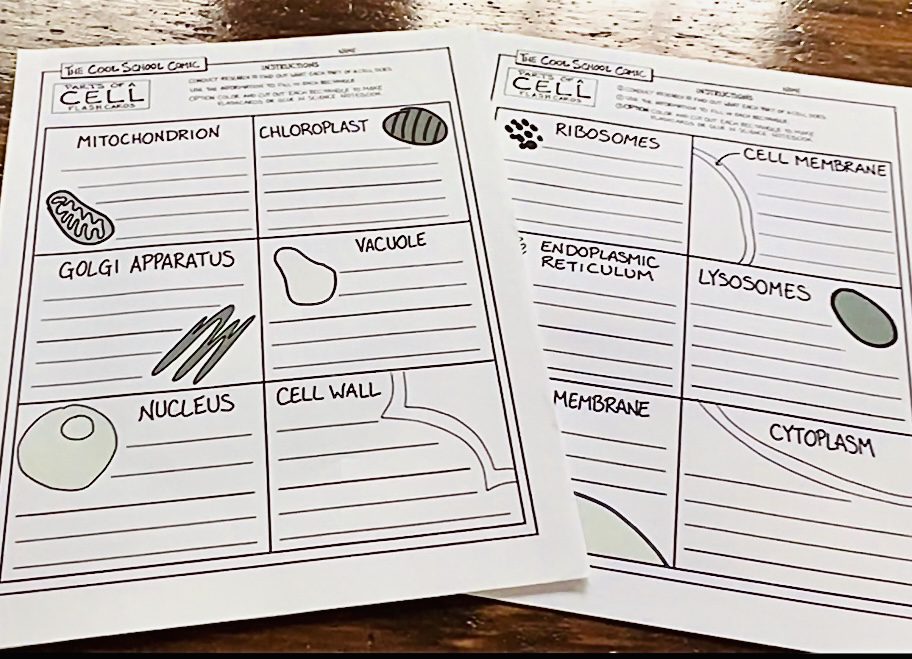 Cell Project Prep- Parts of a Cell Flashcards Template