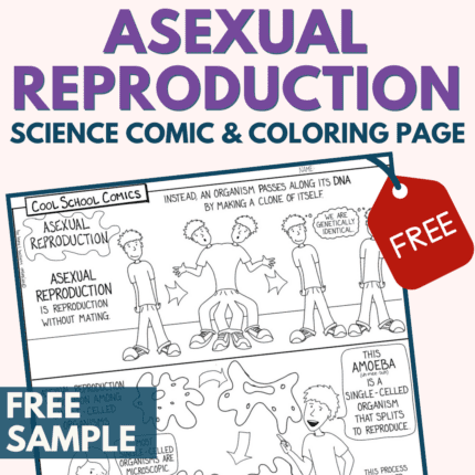 Sexual-and-Asexual-Reproduction-Activities-ESL-ELL-MLL-ELD-Reading-COVER