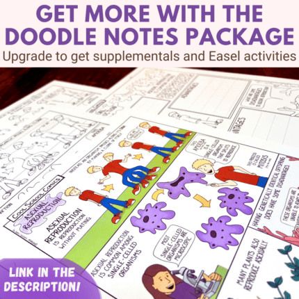 Sexual-and-Asexual-Reproduction-Activities-ESL-ELL-MLL-ELD-Reading-t2