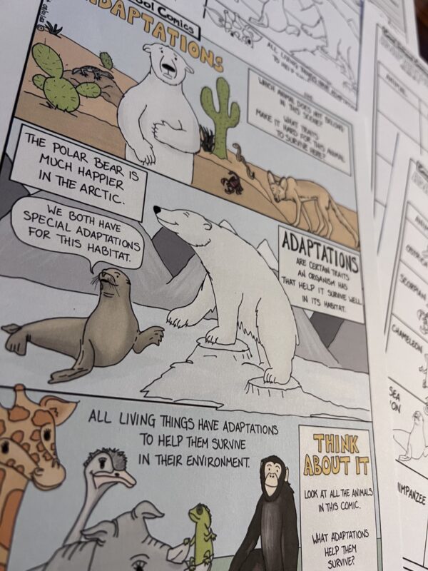 Teaching is Difficult, but Visual learning can help