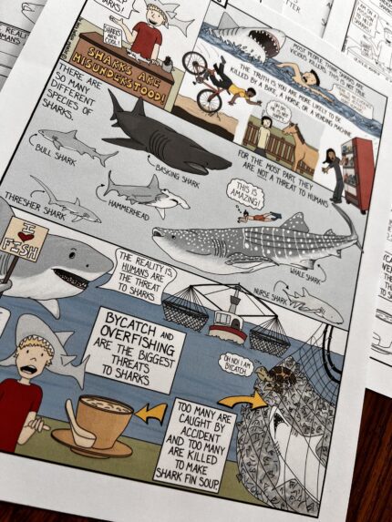 Shark-Week-Activities-World-Ocean-Day-Human-Impact-on-the-Environment