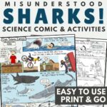 Shark-Week-Activities-World-Ocean-Day-Human-Impact-on-the-Environment-COVER
