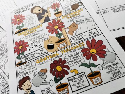 Independent and Dependent Variables Practice