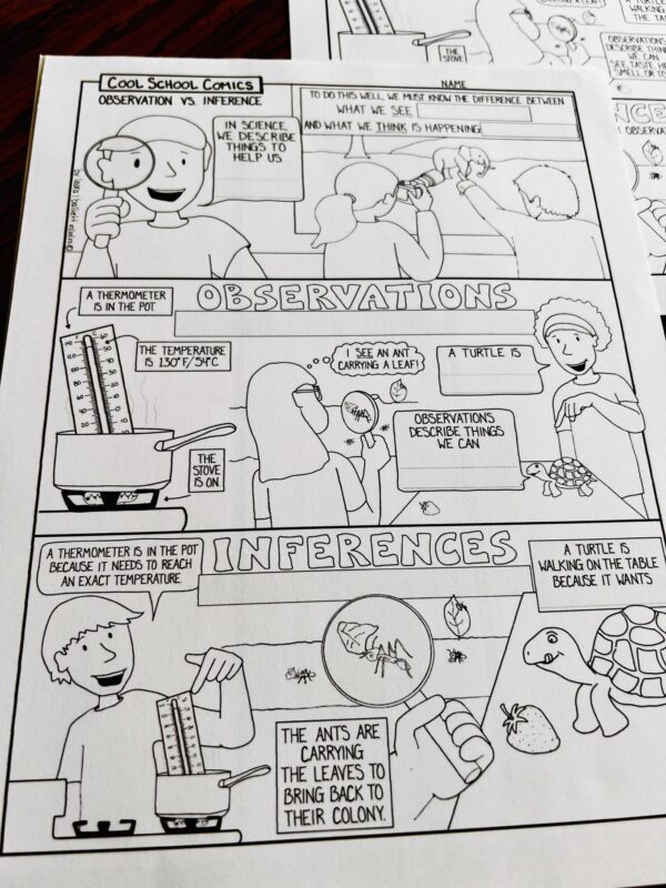 Observing what is an inference definition 