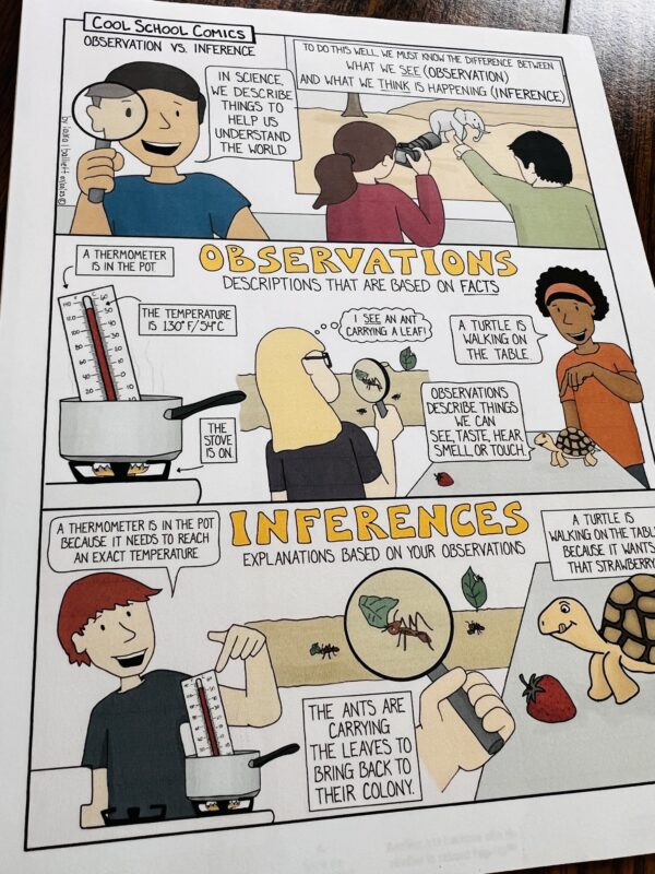 Observing: What is Observation vs Inference definition