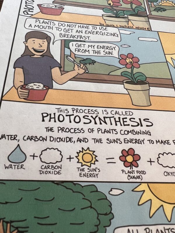 photosynthesis comic strip kid cartoons