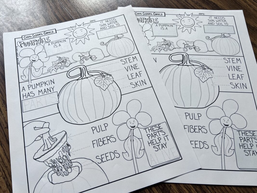 parts of a pumpkin coloring pages