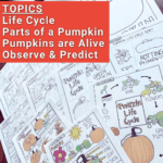 Pumpkin-Investigation-First-Grade-Parts-of-a-Pumpkin-Labeling-T1