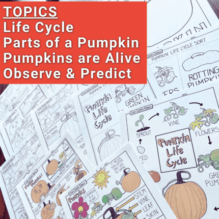Pumpkin-Investigation-First-Grade-Parts-of-a-Pumpkin-Labeling-T1