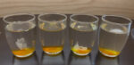 Dissolving Candy Corn Halloween Science Experiment - Image 2